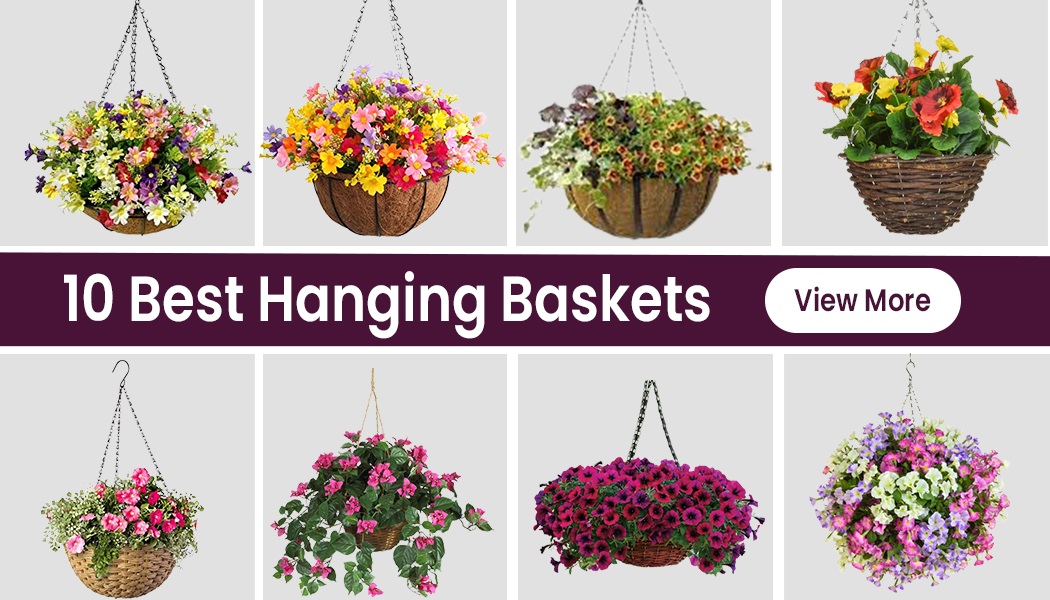 10 Stunning Hanging Baskets For Bringing Refreshing Feel